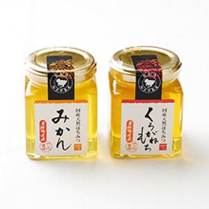 ゴールドメタルバレッタ